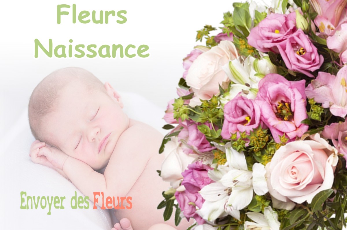 lIVRAISON FLEURS NAISSANCE à LA-PESSE